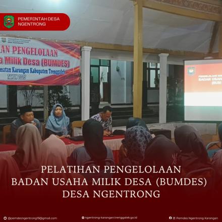 PELATIHAN PENGELOLAAN BUMDES NGENTRONG JAYA